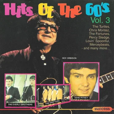 Hits of the 60's, Vol. 3 by Various Artists - album cover