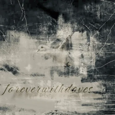 4 songdemo by foreverwithdoves - album cover