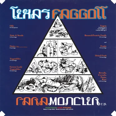 Para Moncler EP by Texas Faggott - album cover