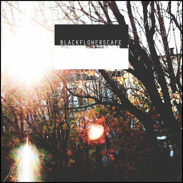 Black Flowers Cafe