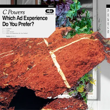Which Ad Experience Do You Prefer? by C Powers - album cover