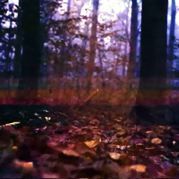 Into The Blue "Glitch version"