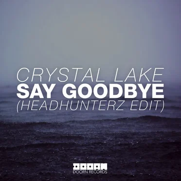 Say Goodbye (Headhunterz radio edit)