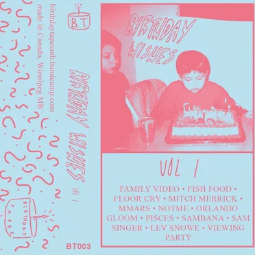Birthday Wishes Vol 1 by Various Artists - album cover