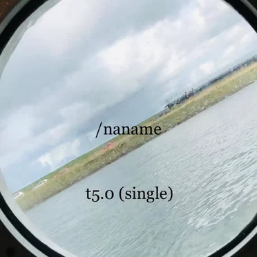 t5.0
