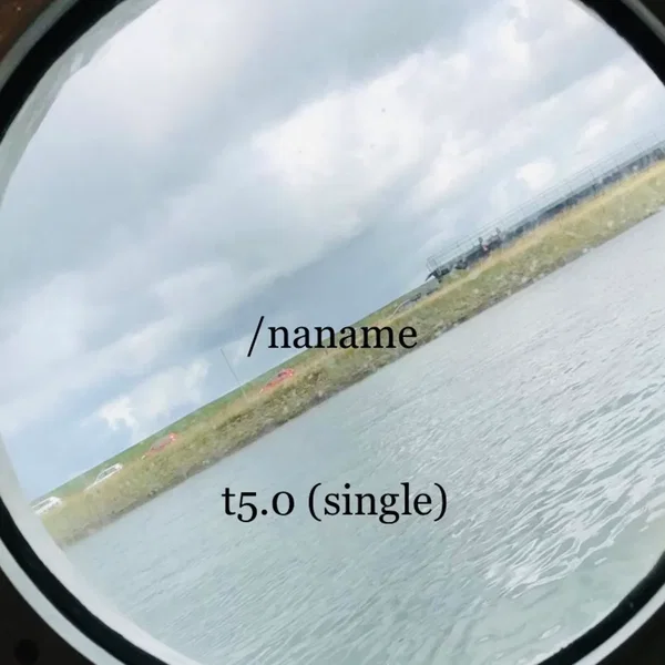 t5.0