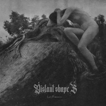 Life Forsaken by Distant Shapes - album cover