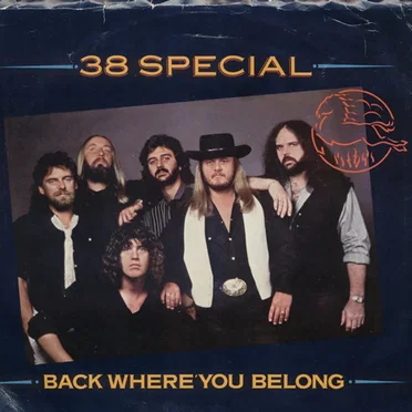 Back Where You Belong