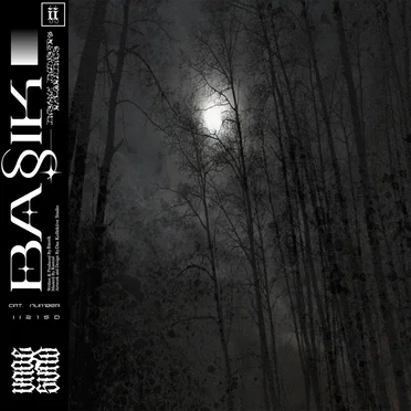 Ungesund EP by BA§IK - album cover