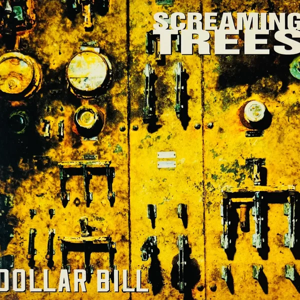 Dollar Bill