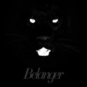 Calico by Belanger - album cover