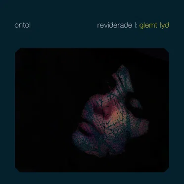 Reviderade I: Glemt Lyd