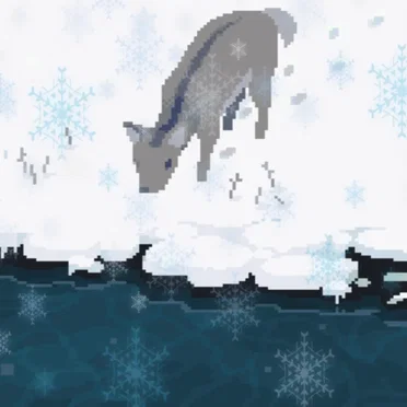 Snowfall