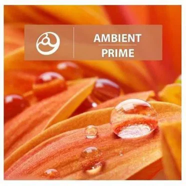 Ambient Prime by Various Artists - album cover