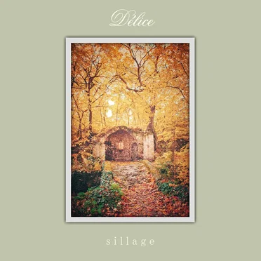 Sillage by Délice - album cover