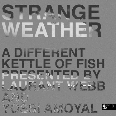Strange Weather : A Different Kettle Of Fish by Various Artists - album cover