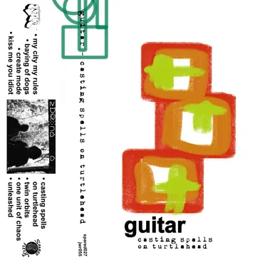 Guitar