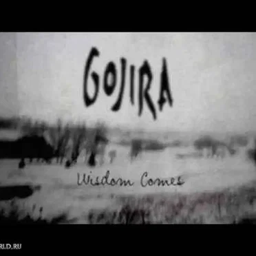 Wisdom Comes