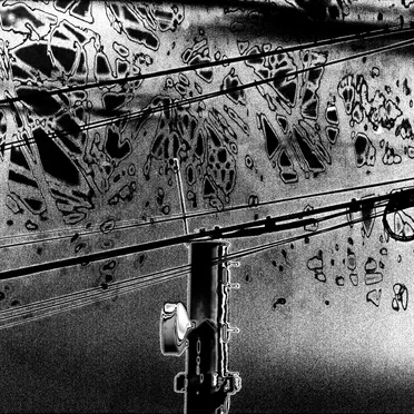 bacillus anthracis and the longest night of your life