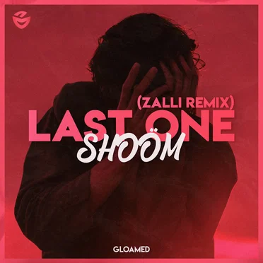 Last One (ZALLI remix) by SHOOM - album cover