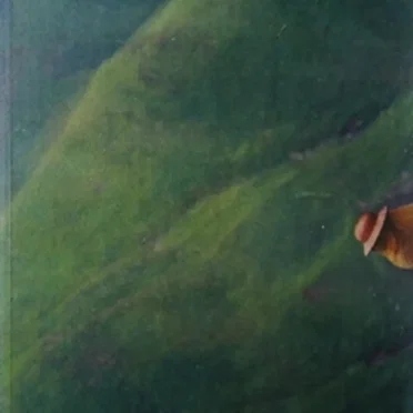 Crystal Arrows for a Cosmic King