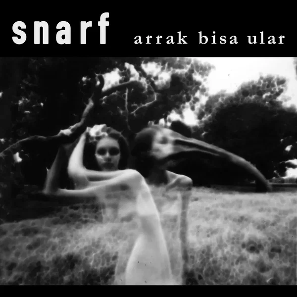 Arrak Bisa Ular