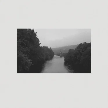 Mist Coming Down