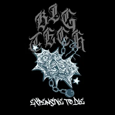 EXPENSIVE TO DIE by Big Tech - album cover