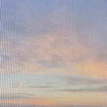 whiteblue morning