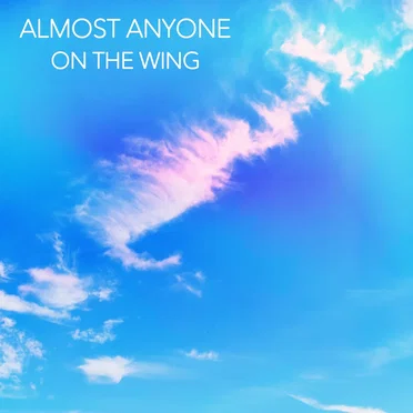 On The Wing (Owl City Cover)
