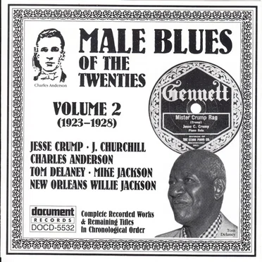 Male Blues Of The Twenties Volume 2 (1923-1928) by Various Artists - album cover