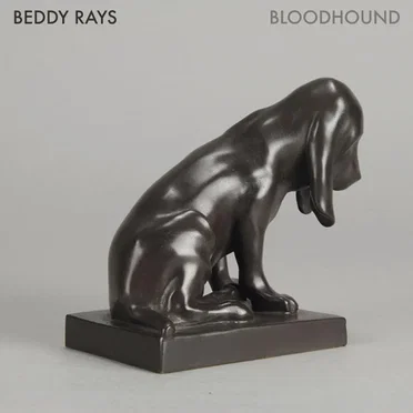 Bloodhound
