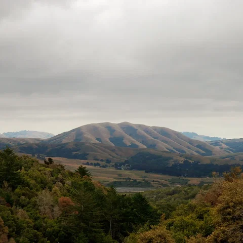 Dirty Projectors - Up in Hudson
