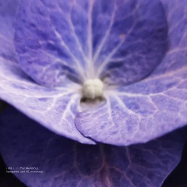 Transparent, Part 02 (Symbiosis)