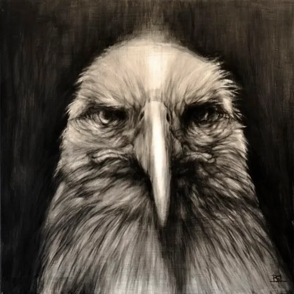 Bird of Prey