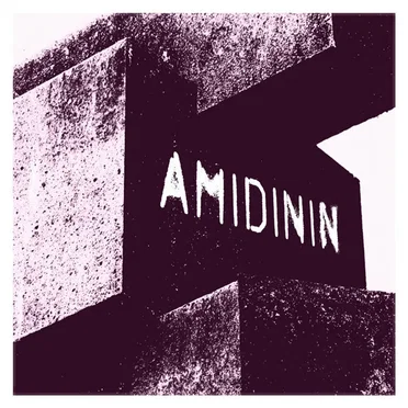 Amidinin by TAKAAT - album cover