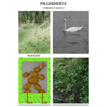 Pilgerhertz
