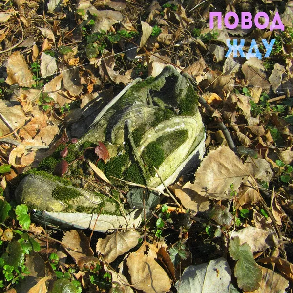 Жду