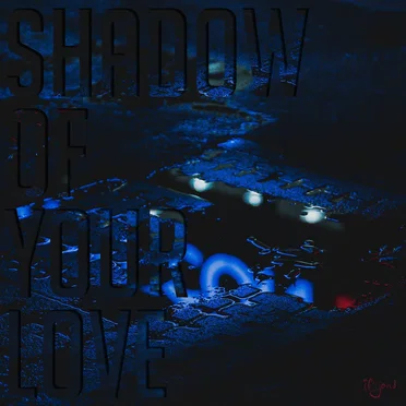 Shadow of your love