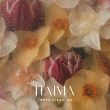 Naima by Jonas Olofsson - album cover