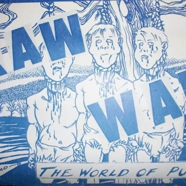 Raw War:The World of Punk by Various Artists - album cover