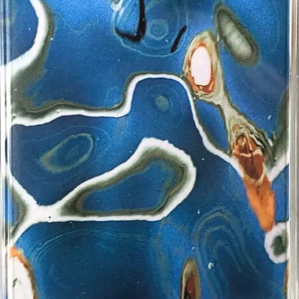 Wonderwhirl