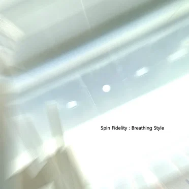 Breathing Style by Spin Fidelity - album cover