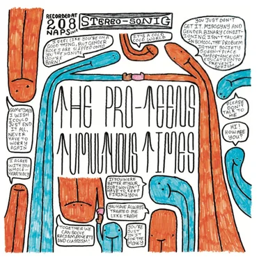 Tumultuous Times by The Pro-Teens - album cover
