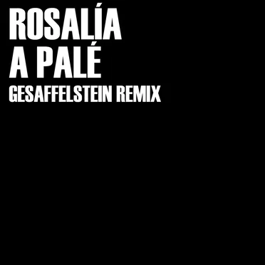 A palé (Gesaffelstein remix)