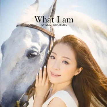 What I am