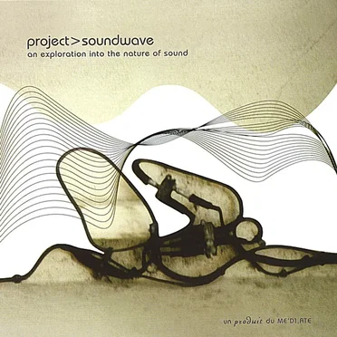 Project>Soundwave: An Exploration into the Nature of Sound by Various Artists - album cover