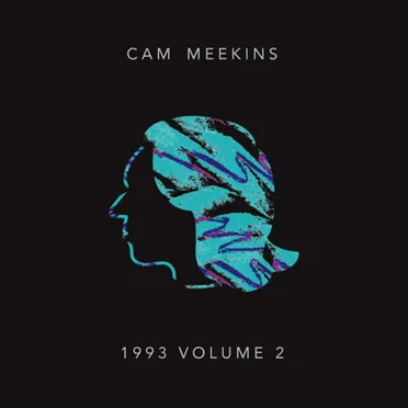 1993, Vol. 2 by Cam Meekins - album cover