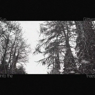 Into the trees