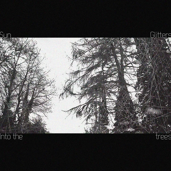 Into the trees